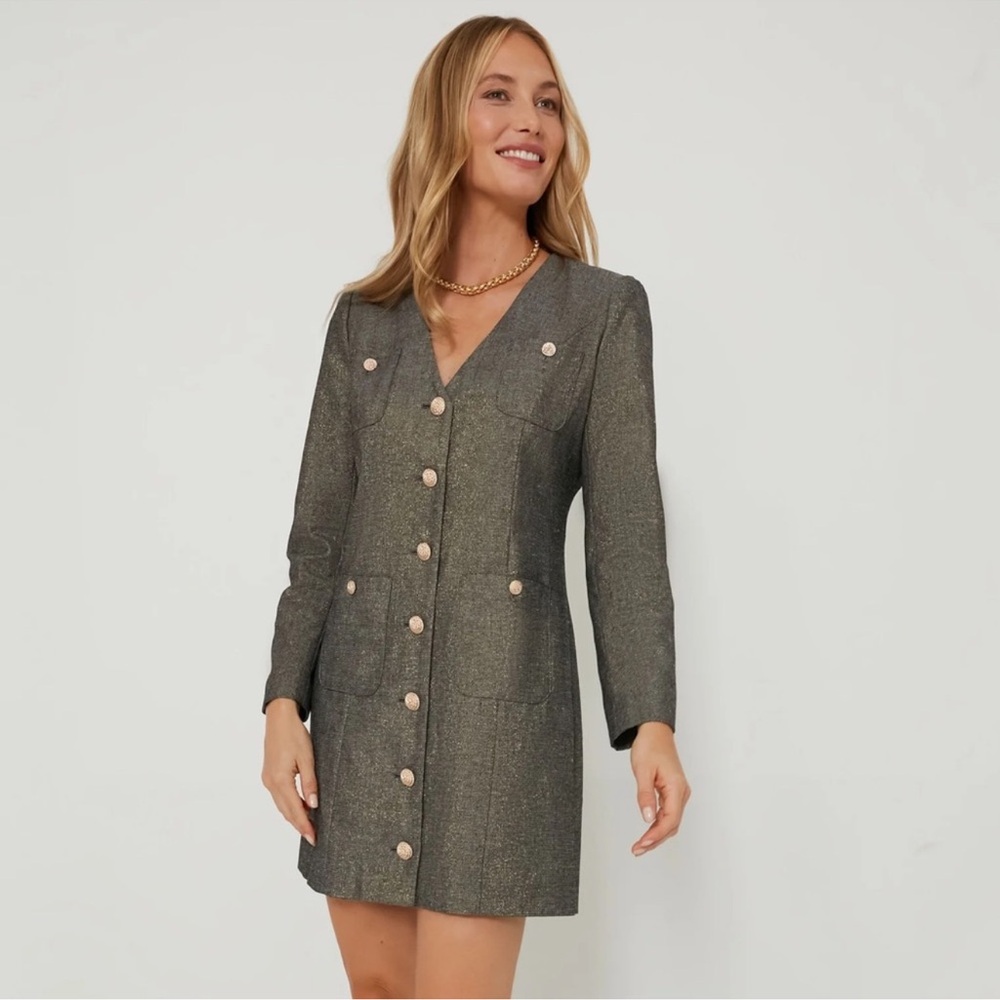 NWT Size XL Pomander Place Coventry Metallic Keira Dress
